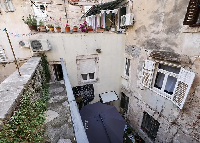 Old Town Spider Zadar