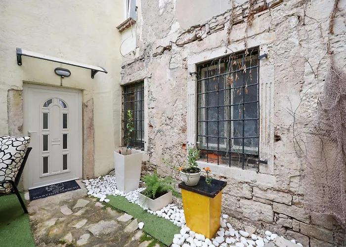 Old Town Spider * Zadar