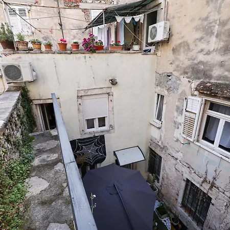 Old Town Spider Zara