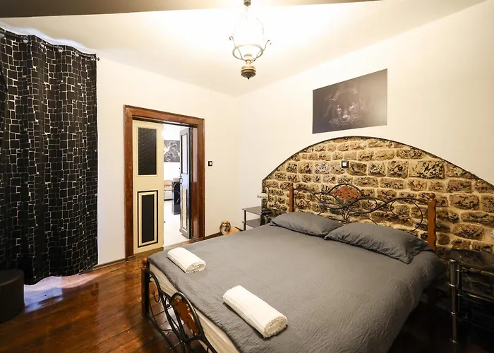 Old Town Spider * Zadar